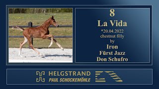 8 - La Vida by Iron/Fürst Jazz  - Helgstrand-Schockemöhle Auction on June 4th 2022