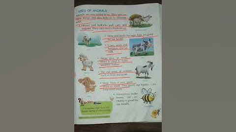 Class 2, EVS, Chapter-15, The World of Animals, DATE- 03.08.2021, BY- RAKESH KUMAR, RSMPS