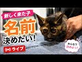 寝不足！？目の下のクマが凄い新入りが来ましたライブ🧡