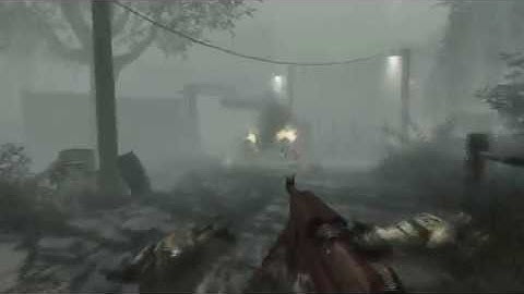 [BO1] Additive Sprints on WaW guns Test