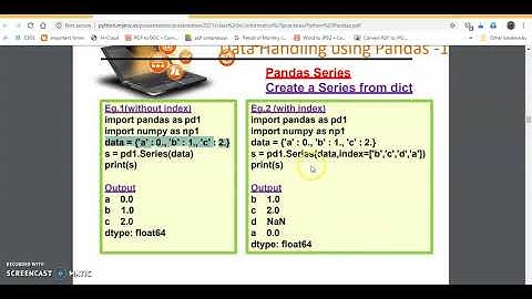 Pandas Series Practical XII IP