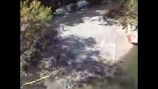 BASE Jumping - Bridge Day 2005 - Tool