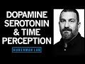 Time perception  entrainment by dopamine serotonin  hormones