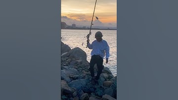 Câu Cá Biển - Câu Mồi Lông Cực Nhạy