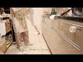 PM5:00~10點的忙碌晚上/Lopia採購食材/省精力晚餐/準備次日便當/換季整理打掃/在日主婦生活家事vlog