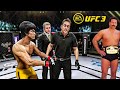 Bruce Lee vs. Dan Severn (EA Sports UFC 3) - K1 Rules