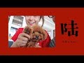 过年 VLOG 06 | 去拜年啦 | 带妈妈逛宜家 | 很短的一天 | 在新加坡过年