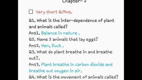 Class 3rd ,Revision of chapter-2 Plant Differ From Animals