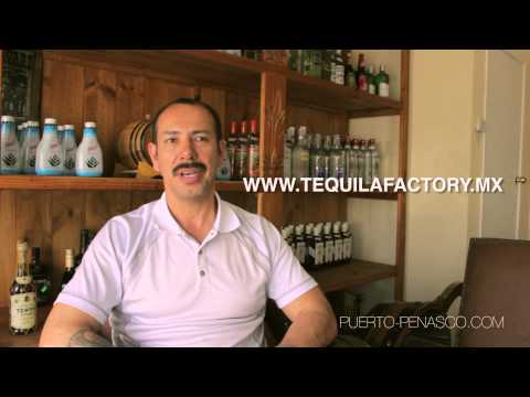 Tequila Factory in Rocky Point, Mexico