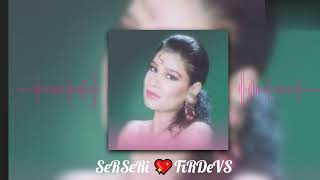 Serseri Firdevs Için Gül Demedi