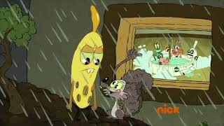 Pig Goat Banana Cricket Hes So Crazy