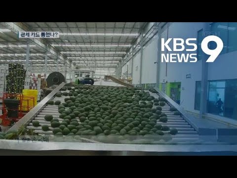 트럼프 완승?…“멕시코에 관세 부과 철회” / KBS뉴스(News)