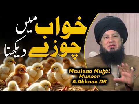 What Does Seeing Chicks In Your Dream Mean Dream Interpretation Explained Raham TV 