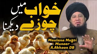 What Does Seeing Chicks In Your Dream Mean? Dream Interpretation Explained Raham Tv