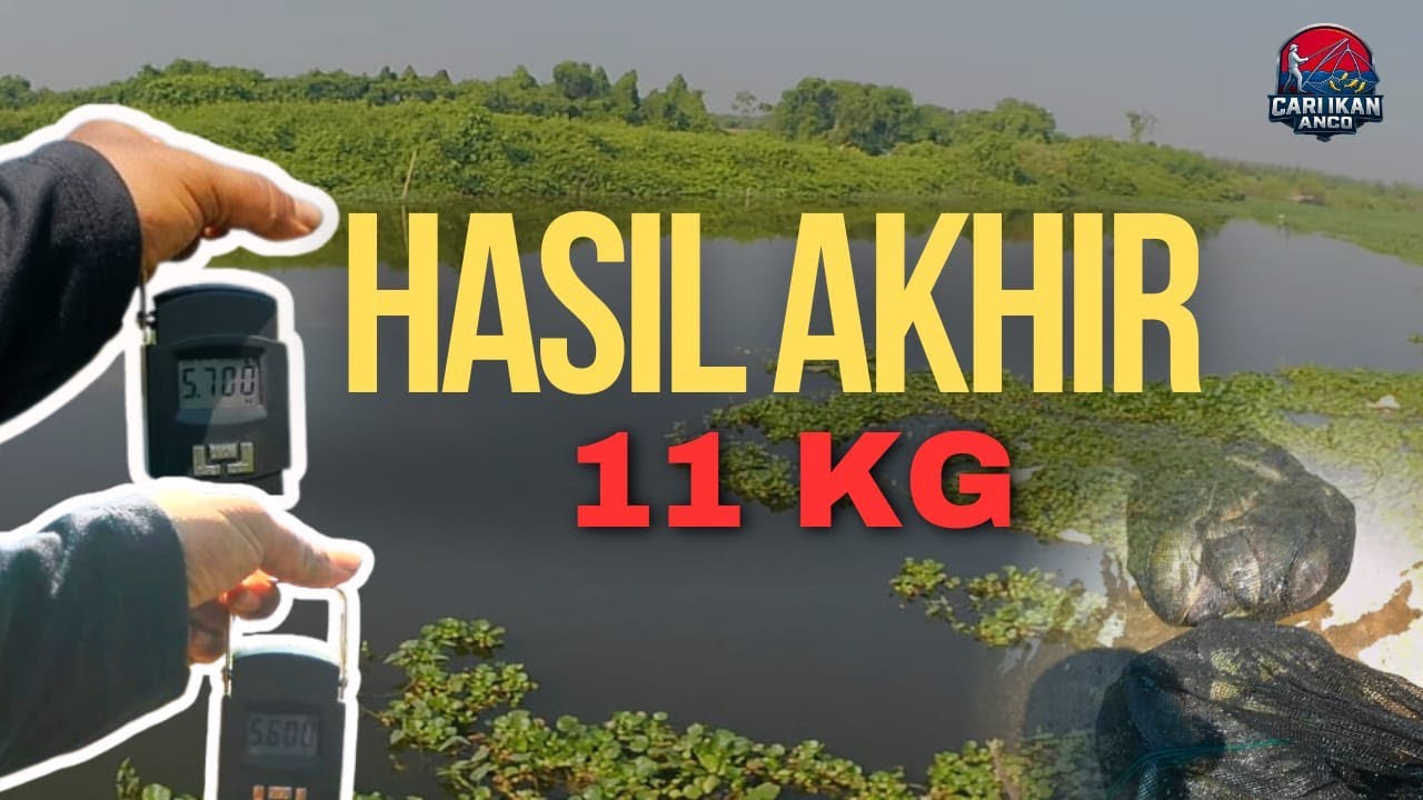 Luar biasa...Spot Baru ikan banyak banget...mantap👍👍👍.