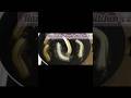 #youtubeshorts #youtube #ytshorts #shortsfeed #homemade #art #cake