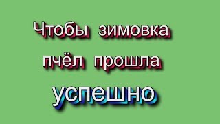 картинка: Чтобы зимовка пчел прошла успешно