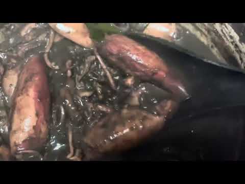 ADOBONG PUSIT