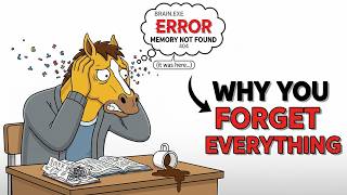 Why You Forget Everything You Study