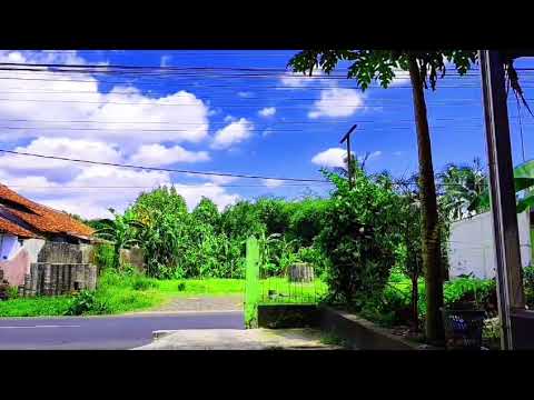 CINTA ABADI|ACOUSTIC|THE TRAGEDY