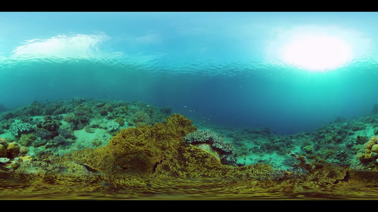 4K Relaxing OCEAN Music and Underwater Museum type AQUARIUM for HOME with Fish Swimming Coral Reef