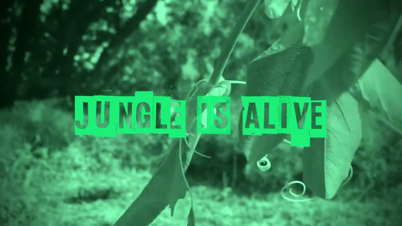 Benjamin Walsh (Live Jungle Show)