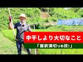 【自然稲作】中干しよりも重要!? 「溝切り」のコツ!とその意味