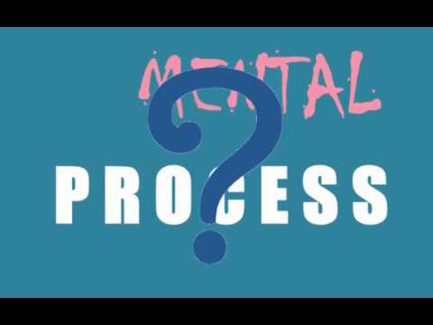 Video: Om Mentala Processer