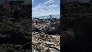 尔湾(Irvine): Little Corona del Mar Beach#beach #travel #ocean #drivingtour