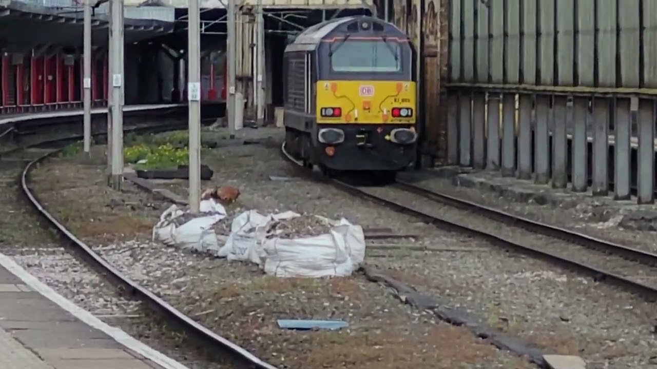 0Z05 - DB67s - 67005 on the last leg of its journey from Toton TMD