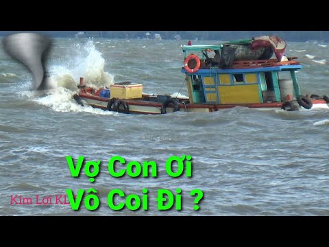 Video: Những Cây Vườn Nào được Sử Dụng Trong Bến Du Thuyền