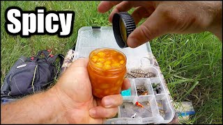 Big Fish Love These Baits Summer Carp Fishing