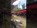 Adat Toraja #youtube #youtubertips