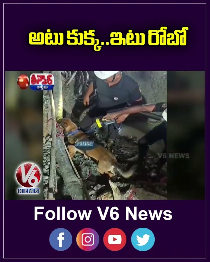 Robots and Cadaver Dogs Deployed In SLBC Tunnel For Rescue Operation  | V6 Teenmaar