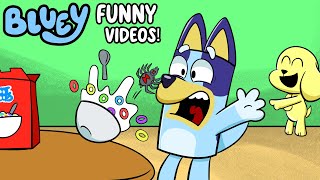 BLUEY Gets SCARED!?  Funniest Shorts Videos