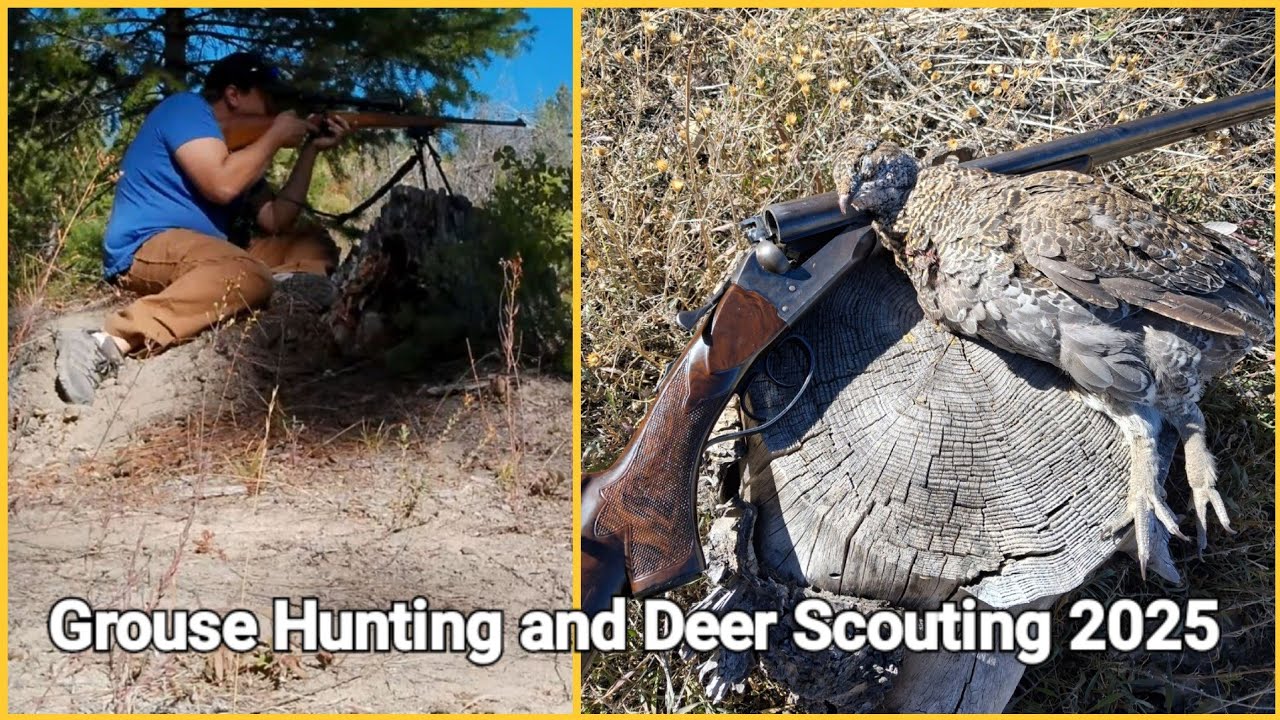 Zack Goes Grouse Hunting and Deer Scouting Late September 2025