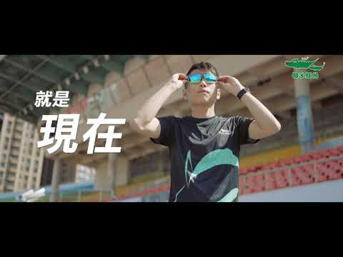 y拖形象精華篇【母子鱷魚】