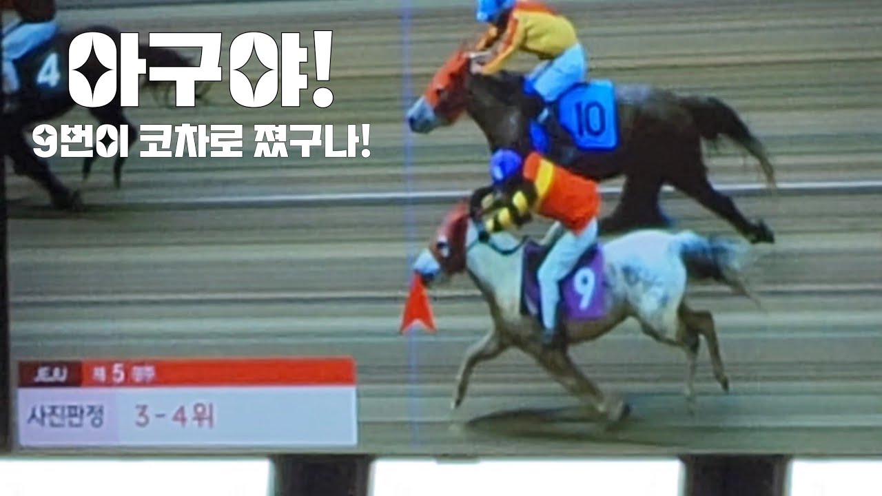 코차로 9번이 이긴것이아니야?(제주경마 하이라이트)착순사진판정은 과학