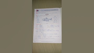 10th science  & technology  practical book part 2 Experiment 7