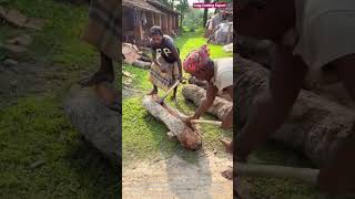 🪓🪵 Traditional Manual Wood Splitting and Heavy Log Cleaving
