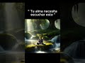 La Calma que Necesitas #meditacion #relax #serenidad