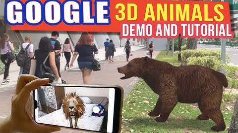 How to use Google 3D Animals | Google 3D Animals Demo