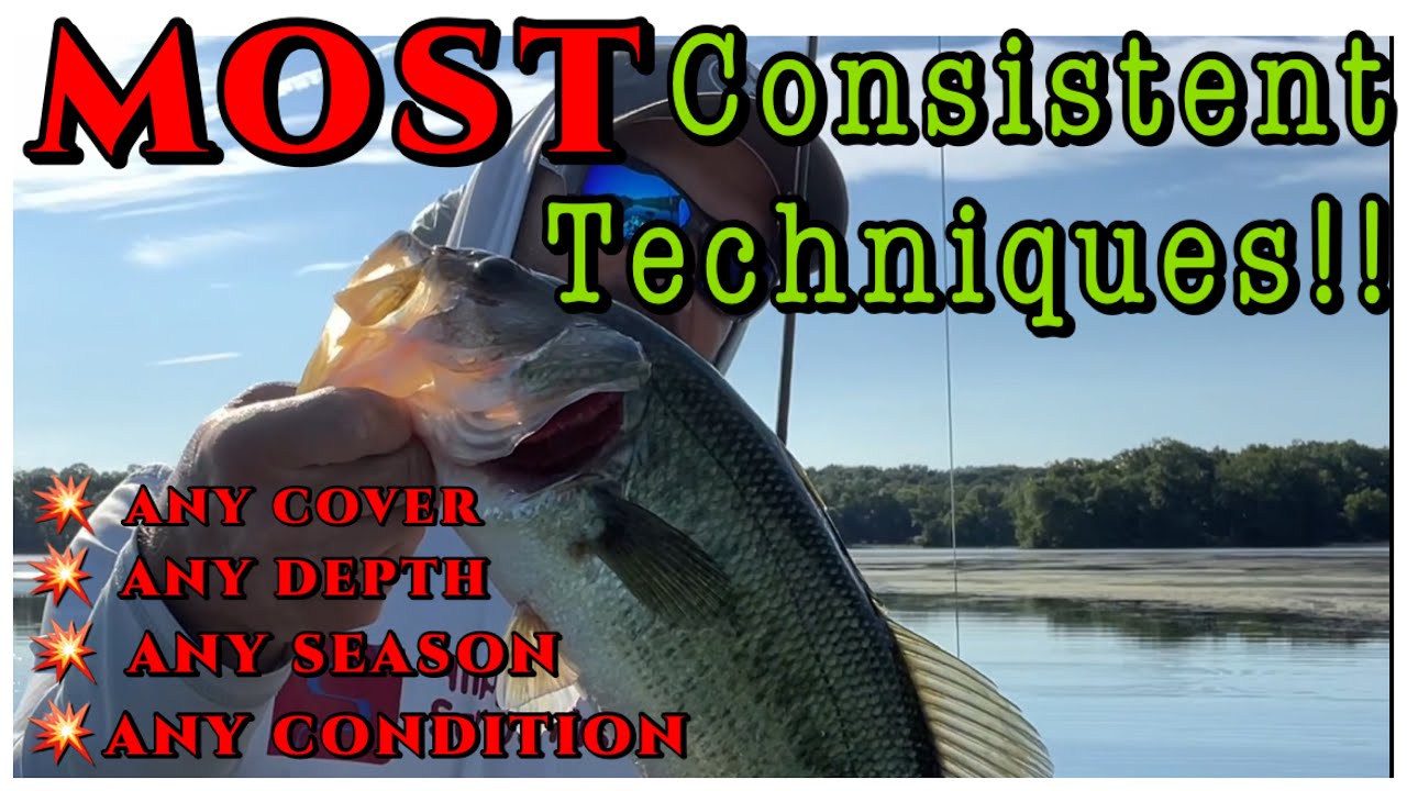 The MOST CONSISTENT Bass Fishing Technique; the FLIPPIDODAD RIG