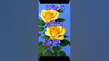 #قران_كريم #قرآن #قرآن_كريم #سورة_النساء : وَلَأُضِلَّنَّهُمْ وَلَأُمَنِّيَنَّهُمْ وَلَآمُرَنَّهُمْ