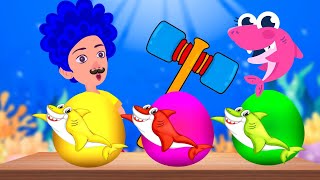 Oeufs Surprises Avec La Famille Requin Chanson Enfantine Amusante - Kuku Et Cucudu