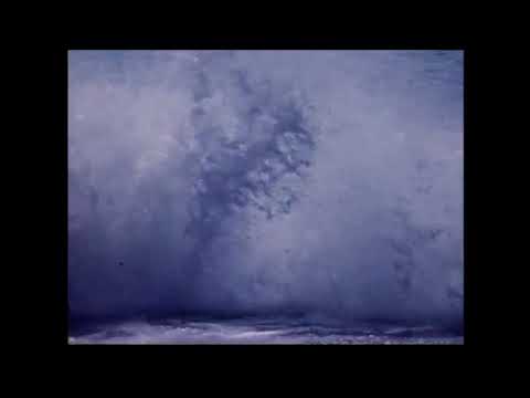 Autumna — autumna - plastic sea (edit) / My Heart is a Chainsaw / Preston capes