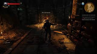 Witcher 3. Mad Kiyan fight. Details