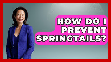 How Do I Prevent Springtails? - Insects and Invaders