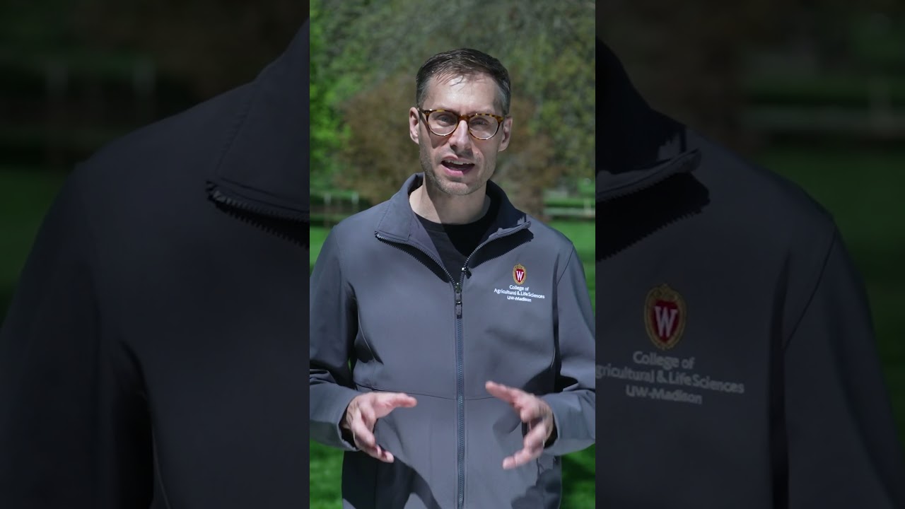 3 Fun Facts About Cicadas