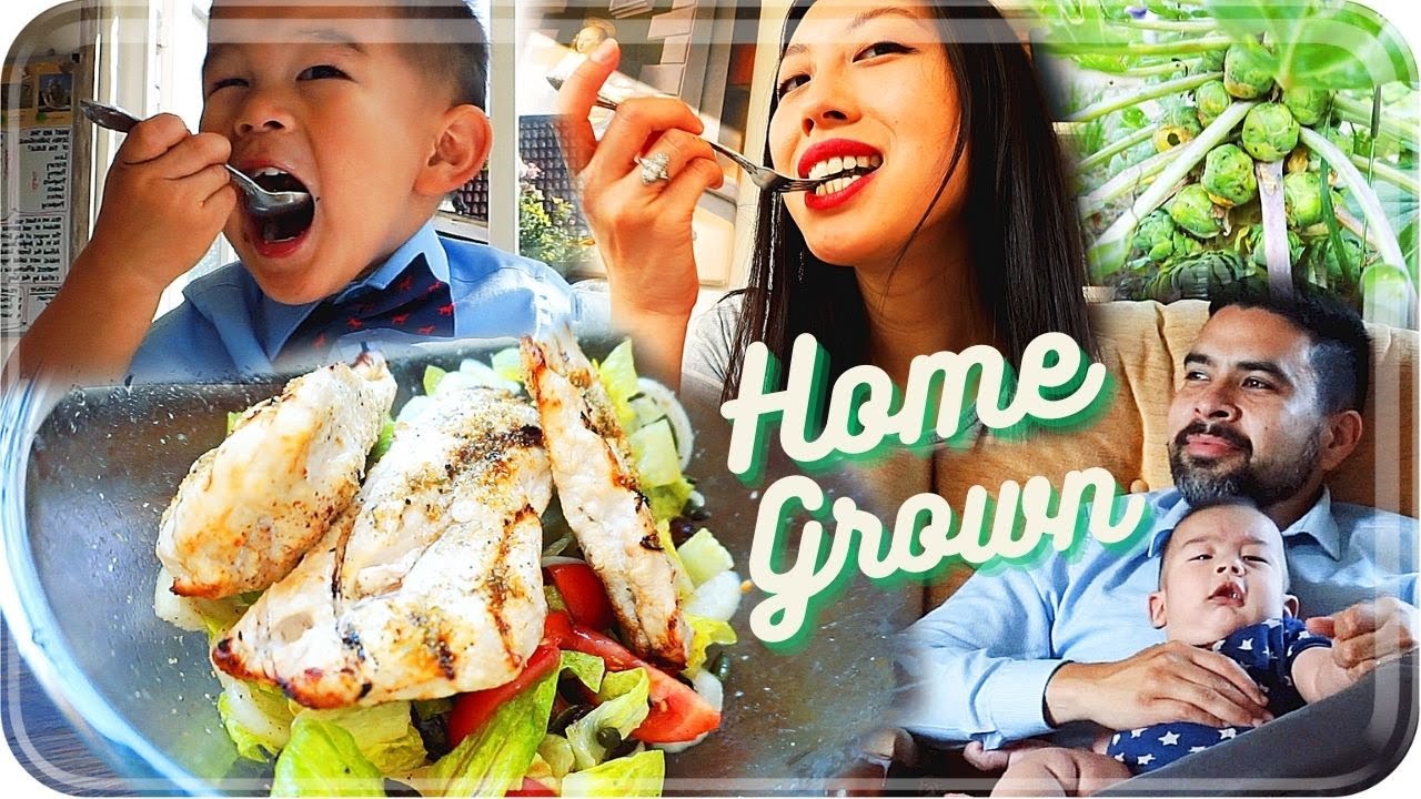  FINAL HARVEST YouTube